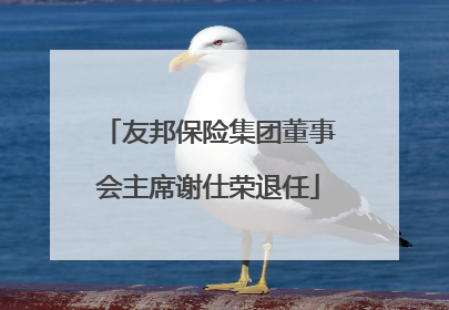 友邦保险集团董事会主席谢仕荣退任