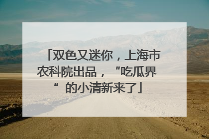 双色又迷你，上海市农科院出品，“吃瓜界”的小清新来了