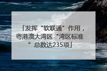 发挥“软联通”作用，粤港澳大湾区“湾区标准”总数达235项