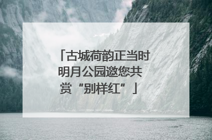 古城荷韵正当时 明月公园邀您共赏“别样红”