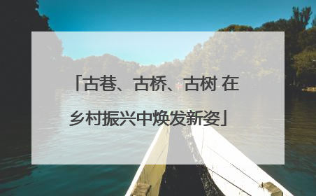 古巷、古桥、古树 在乡村振兴中焕发新姿