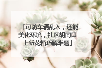 可防车辆乱入，还能美化环境，社区胡同口上新花箱巧解难题