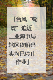 台风“蝴蝶”迫近 三亚海事局辖区货船码头均已停止作业