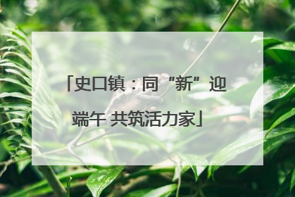 史口镇：同“新”迎端午 共筑活力家