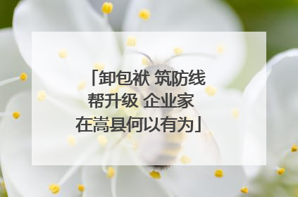 卸包袱 筑防线 帮升级 企业家在嵩县何以有为