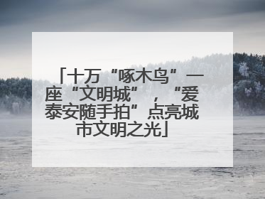 十万“啄木鸟”一座“文明城”，“爱泰安随手拍”点亮城市文明之光