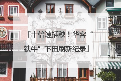 十倍速插秧！华容“铁牛”下田刷新纪录