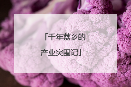 千年荔乡的产业突围记