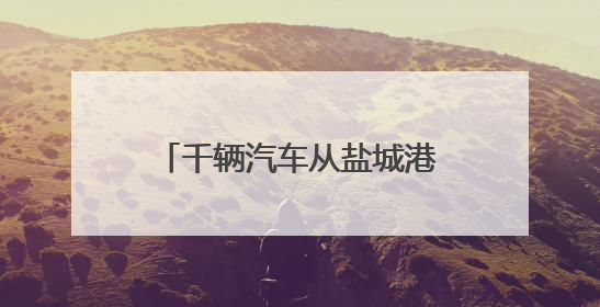 千辆汽车从盐城港滨海港区“出海”