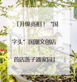 升级亮相！“国字头”国潮文创店首店落子潘家园