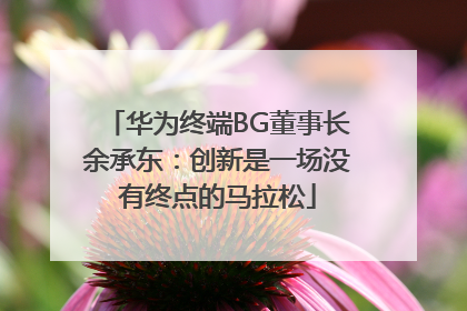 华为终端BG董事长余承东：创新是一场没有终点的马拉松
