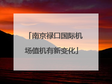 南京禄口国际机场值机有新变化