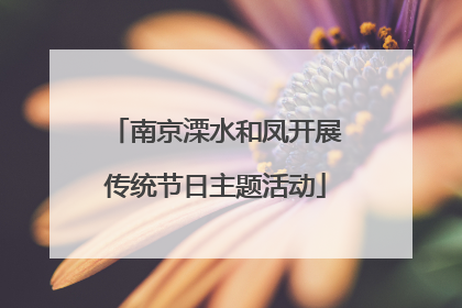 南京溧水和凤开展传统节日主题活动