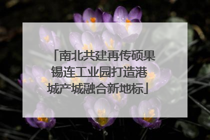 南北共建再传硕果 锡连工业园打造港城产城融合新地标