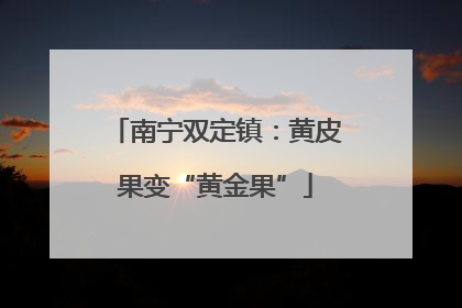 南宁双定镇：黄皮果变“黄金果”
