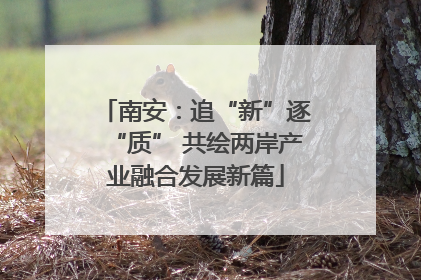 南安：追“新”逐“质” 共绘两岸产业融合发展新篇