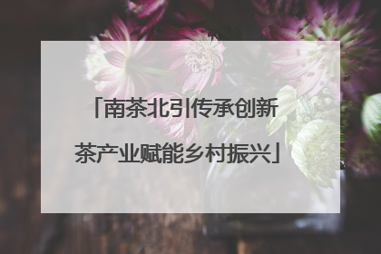 南茶北引传承创新 茶产业赋能乡村振兴