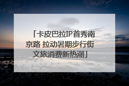 卡皮巴拉IP首秀南京路 拉动暑期步行街文旅消费新热潮