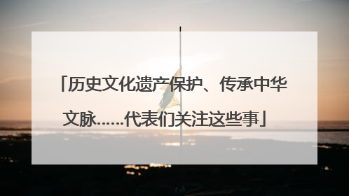 历史文化遗产保护、传承中华文脉……代表们关注这些事