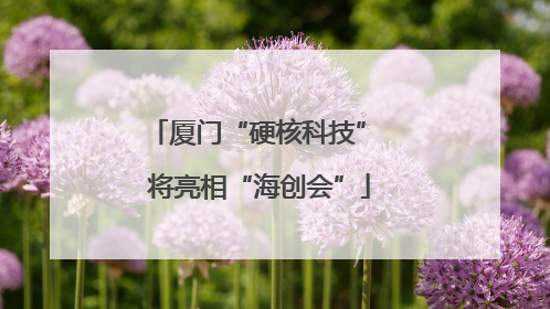 厦门“硬核科技” 将亮相“海创会”
