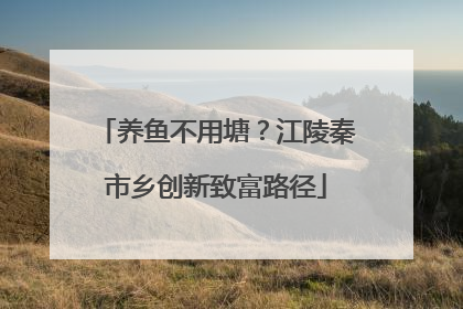 养鱼不用塘？江陵秦市乡创新致富路径