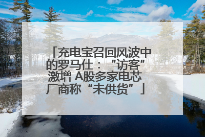 充电宝召回风波中的罗马仕：“访客”激增 A股多家电芯厂商称“未供货”