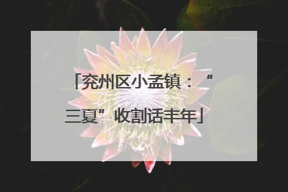 兖州区小孟镇：“三夏”收割话丰年