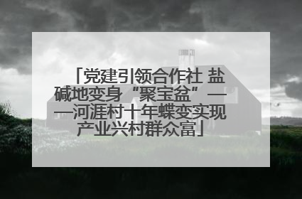 党建引领合作社 盐碱地变身“聚宝盆”——河涯村十年蝶变实现产业兴村群众富