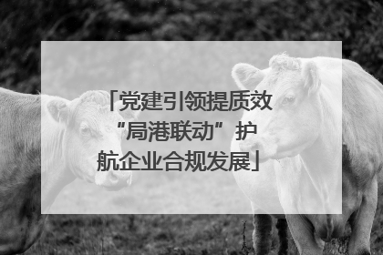 党建引领提质效 “局港联动”护航企业合规发展