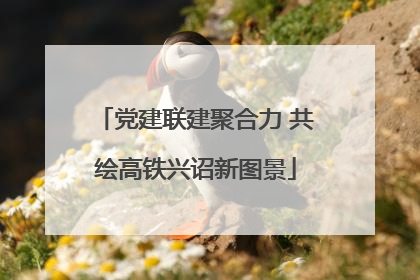 党建联建聚合力 共绘高铁兴诏新图景