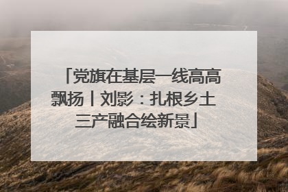党旗在基层一线高高飘扬丨刘影：扎根乡土 三产融合绘新景