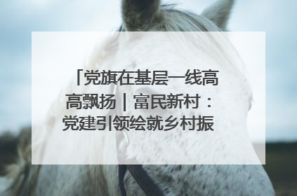 党旗在基层一线高高飘扬｜富民新村：党建引领绘就乡村振兴美丽画卷
