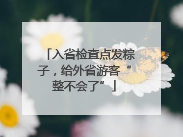 入省检查点发粽子，给外省游客“整不会了”
