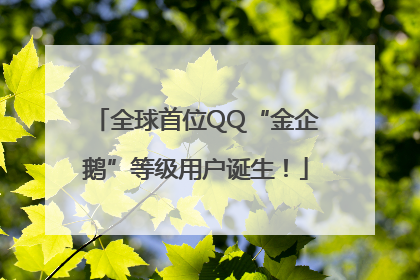 全球首位QQ“金企鹅”等级用户诞生！