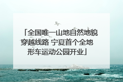 全国唯一山地自然地貌穿越线路 宁夏首个全地形车运动公园开业