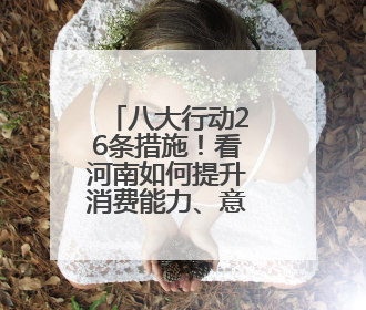 八大行动26条措施！看河南如何提升消费能力、意愿和层级