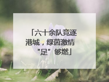 六十余队竞逐港城，绿茵激情“足”够燃