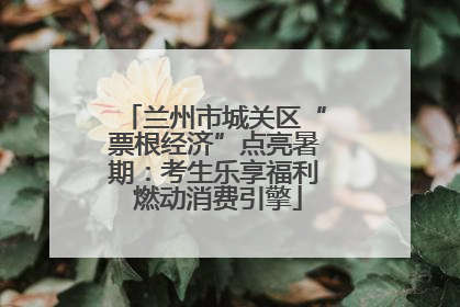 兰州市城关区“票根经济”点亮暑期：考生乐享福利 燃动消费引擎