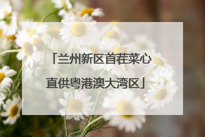 兰州新区首茬菜心直供粤港澳大湾区