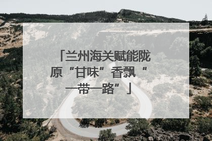 兰州海关赋能陇原“甘味”香飘“一带一路”