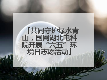 共同守护绿水青山，国网湖北电科院开展“六五”环境日志愿活动