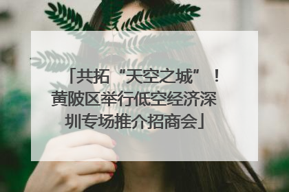 共拓“天空之城”！黄陂区举行低空经济深圳专场推介招商会