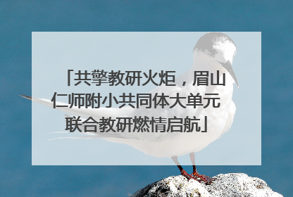 共擎教研火炬，眉山仁师附小共同体大单元联合教研燃情启航