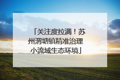 关注度拉满！苏州渭塘镇精准治理小流域生态环境
