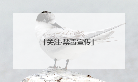 关注·禁毒宣传