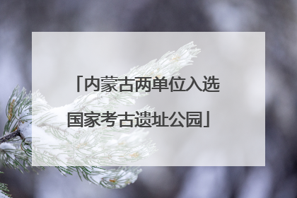 内蒙古两单位入选国家考古遗址公园