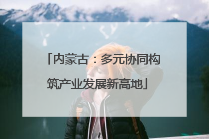 内蒙古：多元协同构筑产业发展新高地