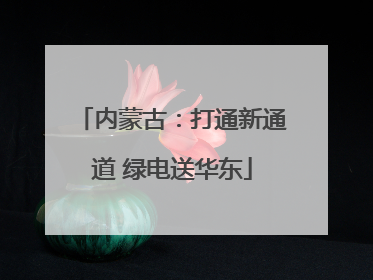 内蒙古：打通新通道 绿电送华东