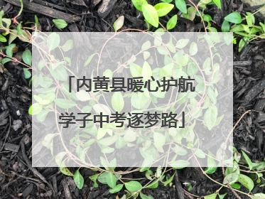 内黄县暖心护航学子中考逐梦路