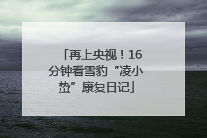 再上央视！16分钟看雪豹“凌小蛰”康复日记